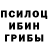 Псилоцибиновые грибы Cubensis Jenny Block