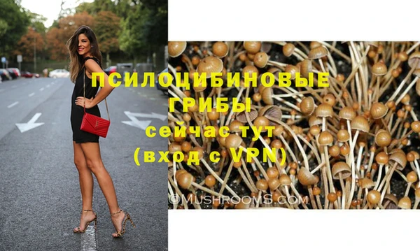 сатива Инта