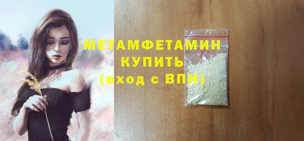 сатива Инта
