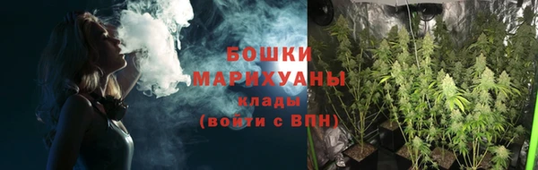ГАЛЛЮЦИНОГЕННЫЕ ГРИБЫ Иннополис