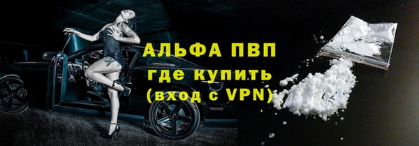 сатива Инта