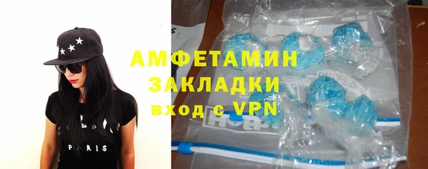 сатива Инта