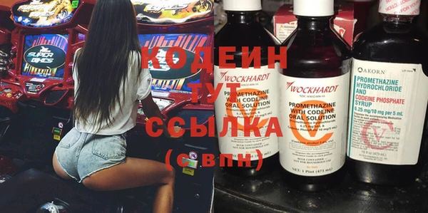 сатива Инта