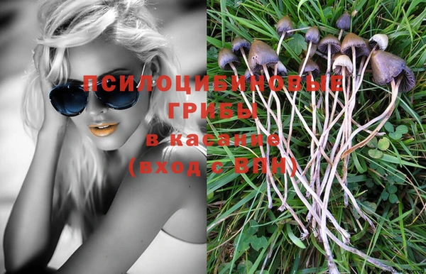 а пвп мука Инсар