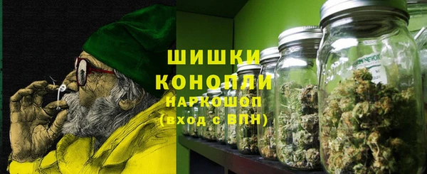 сатива Инта