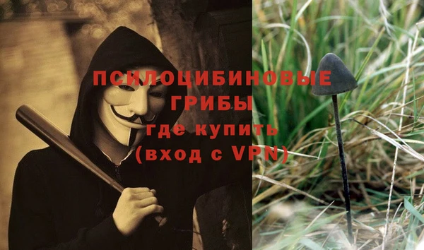 ГАЛЛЮЦИНОГЕННЫЕ ГРИБЫ Иннополис