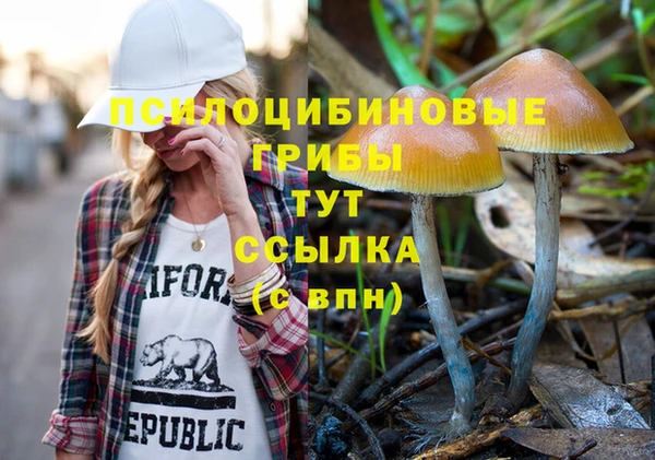 сатива Инта