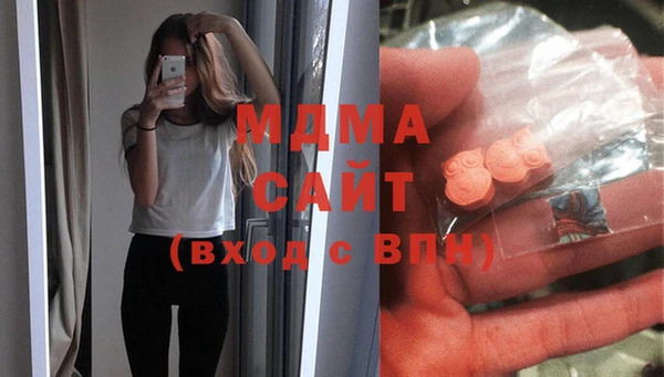 сатива Инта