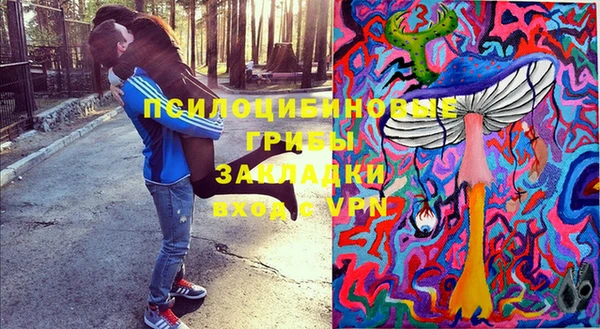 а пвп мука Инсар