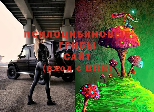 сатива Инта